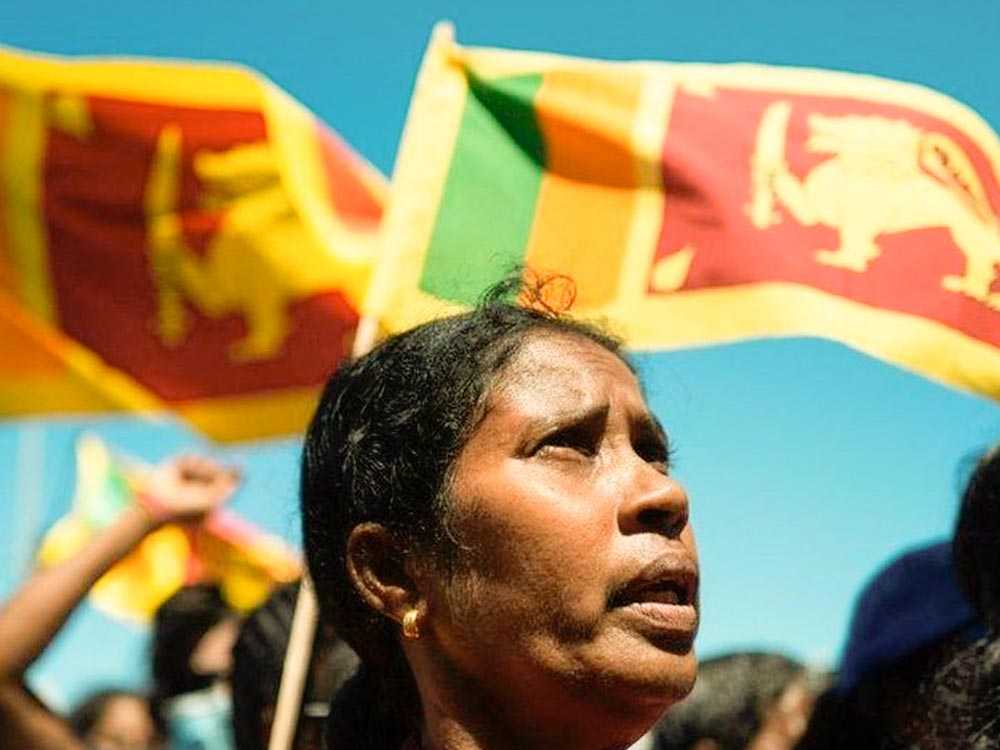 Té de Sri Lanka, Sri Lanka, producción de té, industria del té