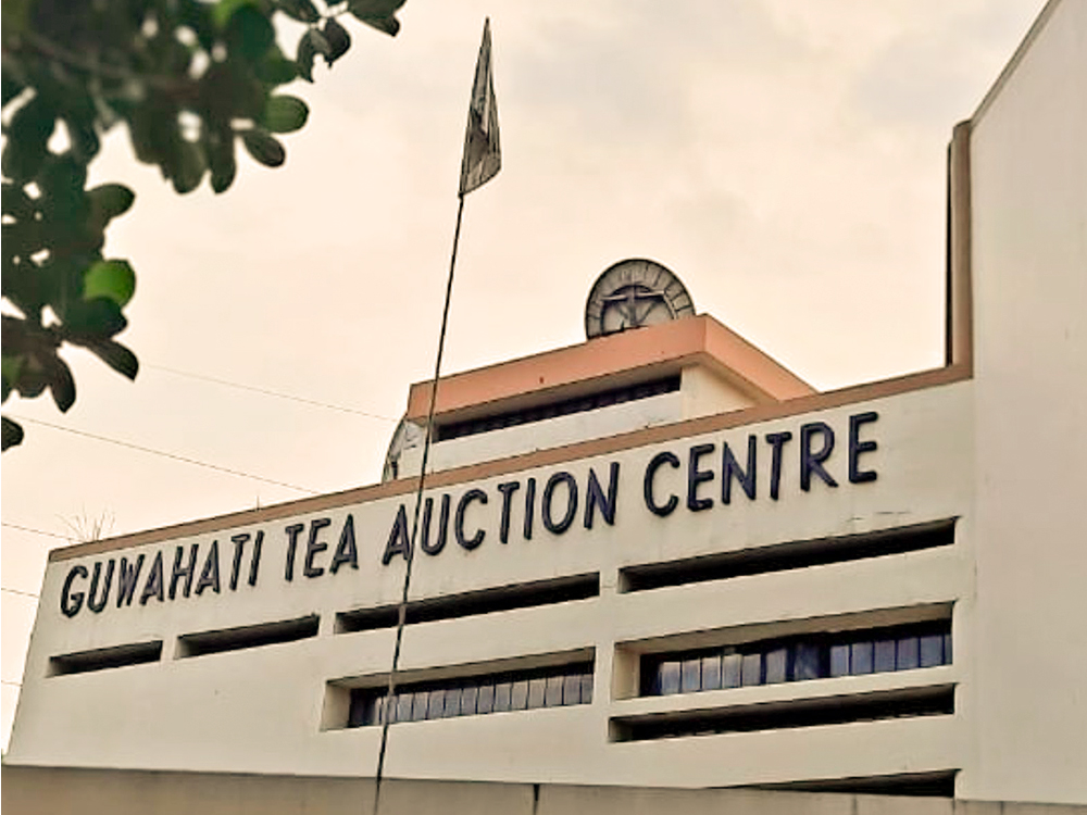 Bharat, subasta de té, India