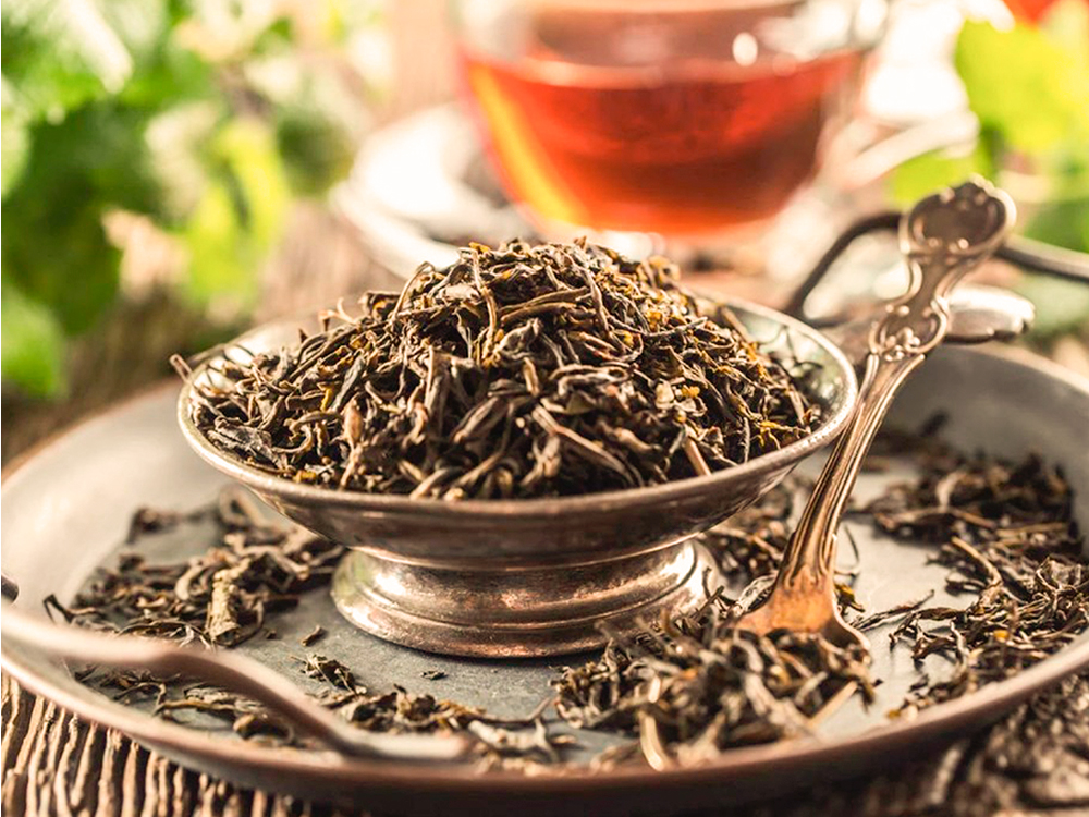té de Kangra, India, denominación de origen, té negro, té verde