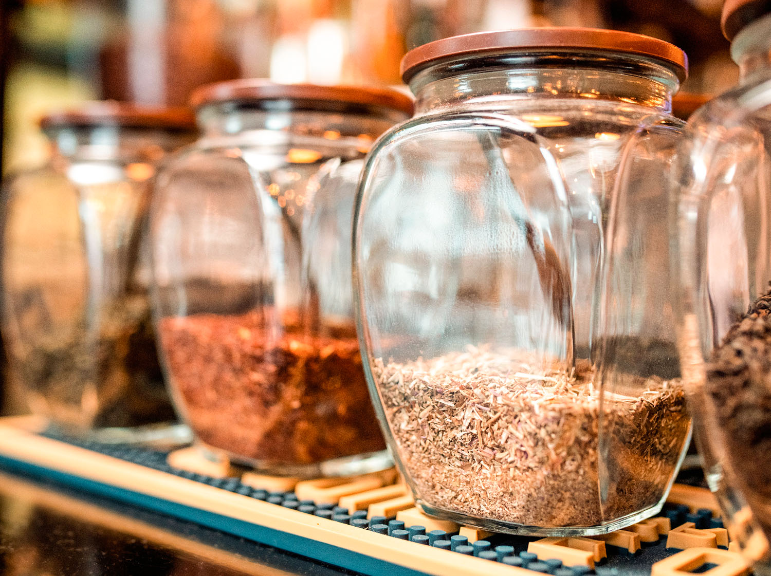 rooibos curso gratis