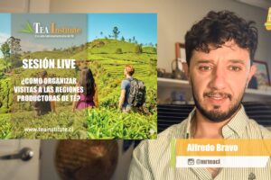 curso gratis regiones productoras de té ¿Cómo Visitar las Regiones Productoras de Té?