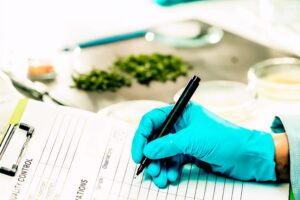 bromatologia-y-estandares-sanitarios-en-el-te-claves-para-una-marca-exitosa