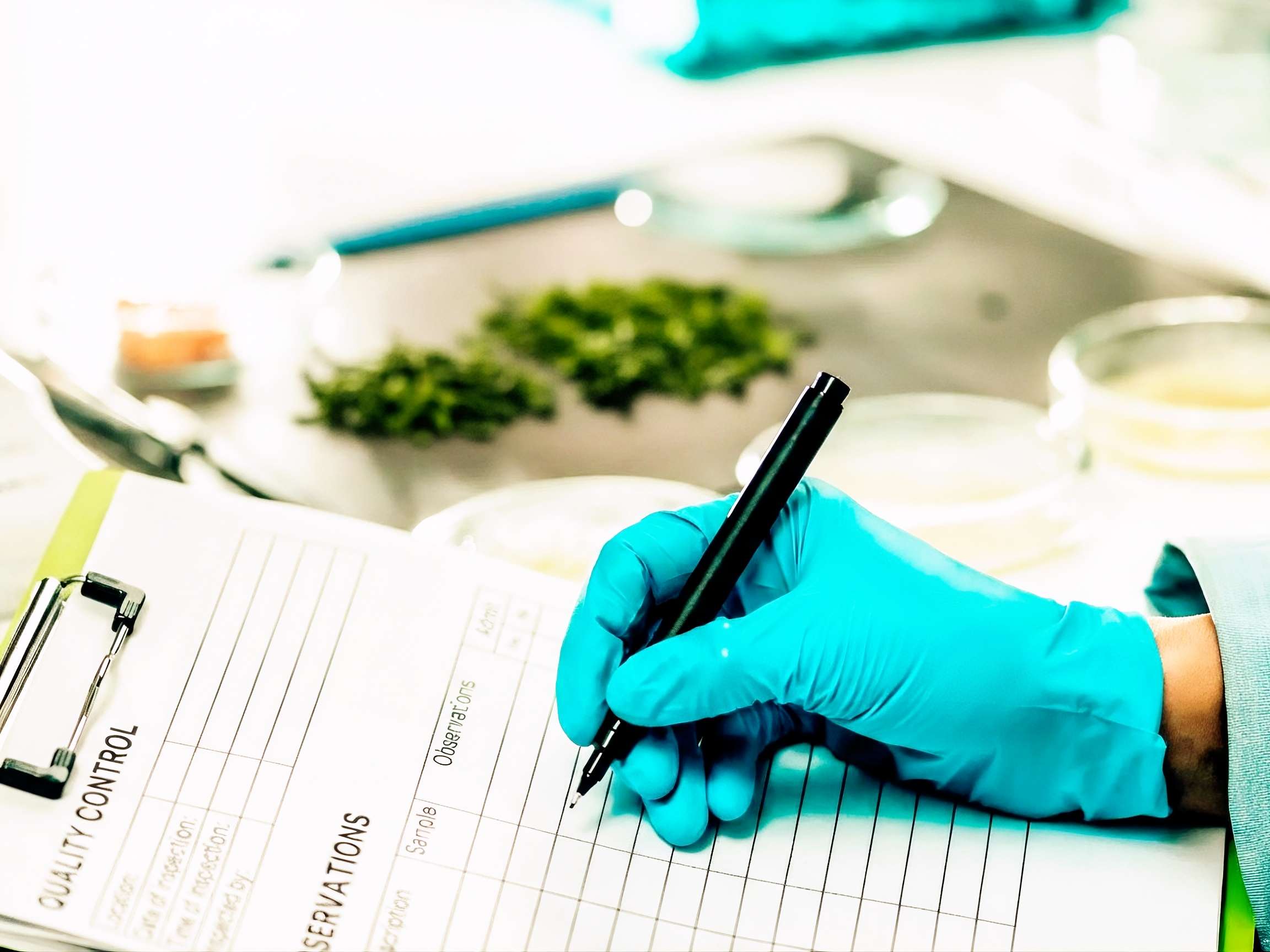 Bromatología y estándares sanitarios en el té: claves para una marca exitosa