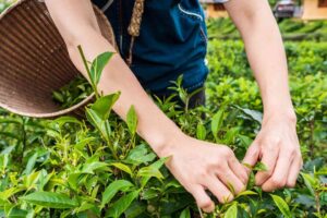 europa-impulsa-nuevos-estandares-de-valor-en-el-te