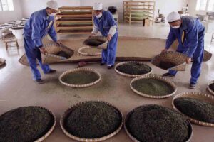 china-principal-productor-de-te-pero-debil-en-marcas