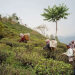 india-redefine-su-estrategia-exportadora-de-te-en-2026