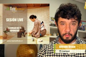 curso de escuelas de té