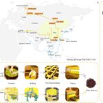 dark-tea-nuevos-avances-en-quimica-y-fermentacion